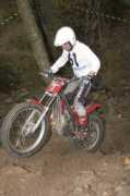 todotrial.com Sseverino