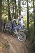 todotrial.com Sseverino