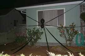 members.cruzio.com Sspider