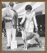 arribatali.com Staccia