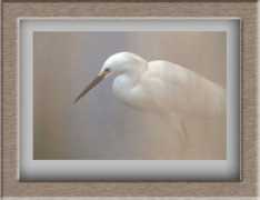 naturalworldphotos.com Stachecki
