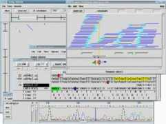 bio-soft.net Staden