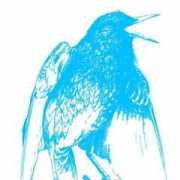 discorporate-records.com Staer