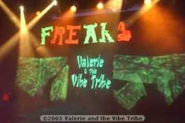 valerieandthevibetribe.com Stager