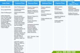 thelegaldog.com Stages