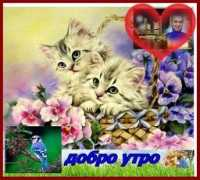 sibir.bg Staiko