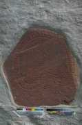 runes.verbix.com Staina