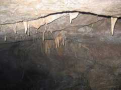 oregongrotto.com Stalactite