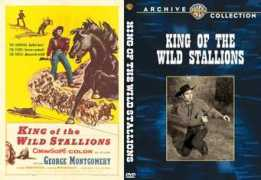 slatnick.com Stalions