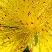 foto-blog.it Stami