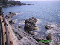 panoramio.com Stanci