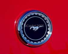 Stang