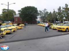 allfordmustangs.com Stangs