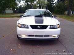 mach1registry.org Stangs