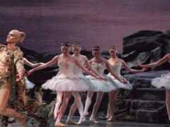 robertaonthearts.com Stappas