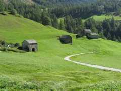 Stara