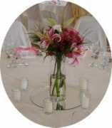 kimandcompany.org Stargazer