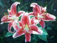 Stargazers