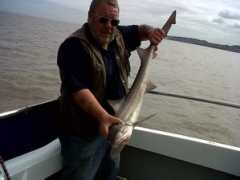 portisheadcharters.co.uk Starrie