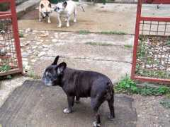 starrock.sanja.name Starrock