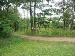 punxypa.com Startzel