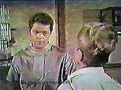 jamesmacarthur.com Starzan