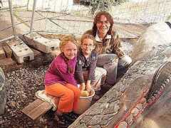 drachevonbesigheim.de Stauda