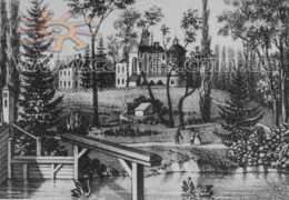 castles.com.ua Steczynski