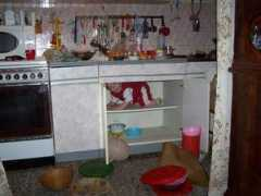 mojabeba.com Stefam