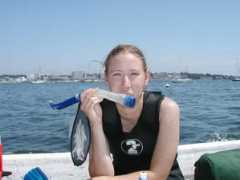 teambenthos.uconn.edu Stefaniak