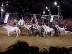 hullhome.com Steffana