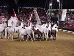 hullhome.com Steffana