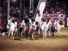 hullhome.com Steffana