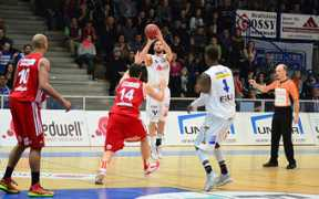 derstandard.at Steflitsch