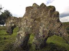 photoshopcontest.com Stegosaurus