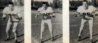 jhsalumni.com Steifer