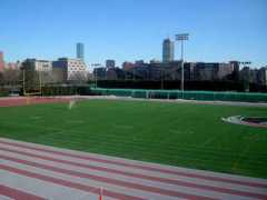 mitathletics.com Steinbrenner