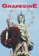 luccagrapevine.com Stellario