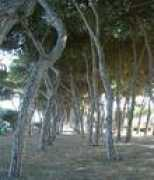 slowtrav.com Stephanis