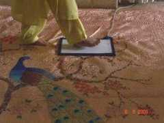dhansai.com Steping