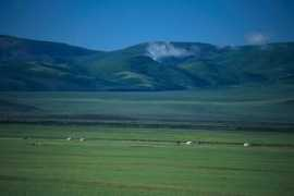 Steppes