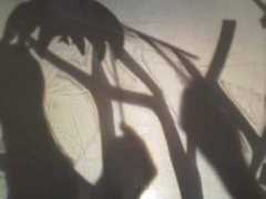 dynamicnewanimation.co.uk Stepstone