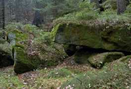 Sterlen
