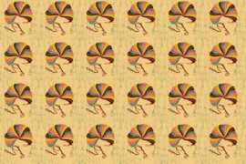 colourlovers.com Stfn
