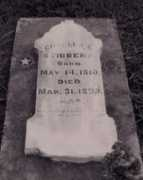 Stibbens