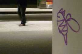 Sticht