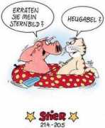 eiki.li Stier