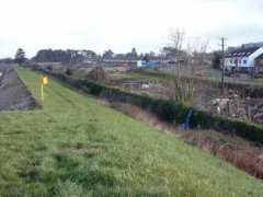 fantasyjackpalance.com Stillorgan