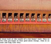 reedorganman.com Stillu