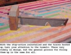 reedorganman.com Stillu